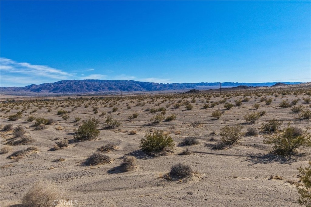 127 Waylyn Property Photo 41