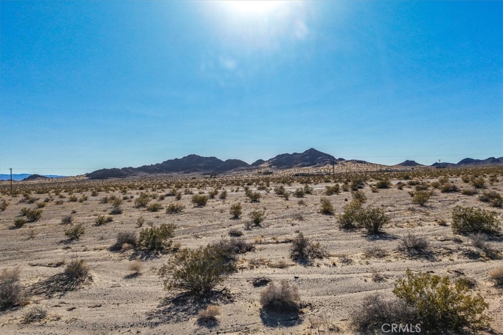 127 Waylyn Property Photo 42