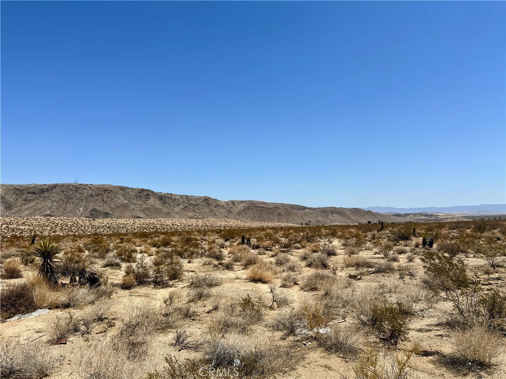 67000 29 Palms Highway Property Photo 4