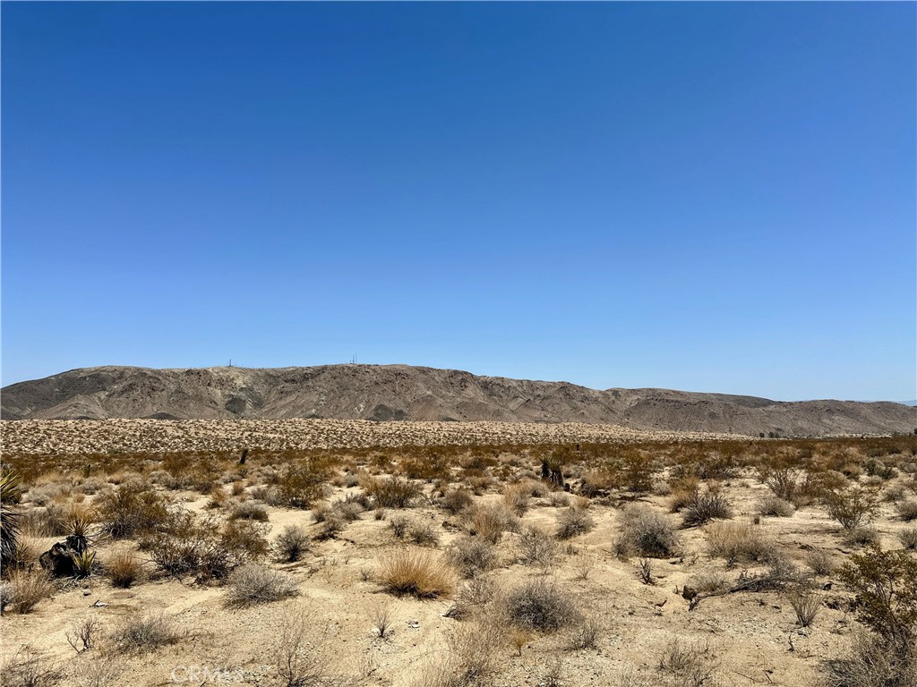 67000 29 Palms Highway Property Photo 5
