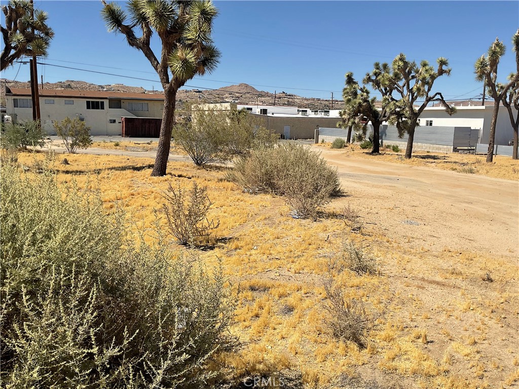 0 Primrose Property Photo 3