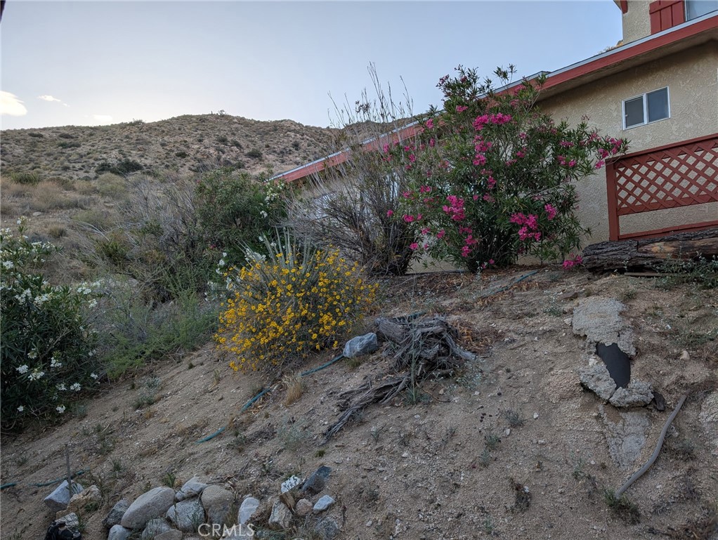 49324 Whiteside Property Photo 11