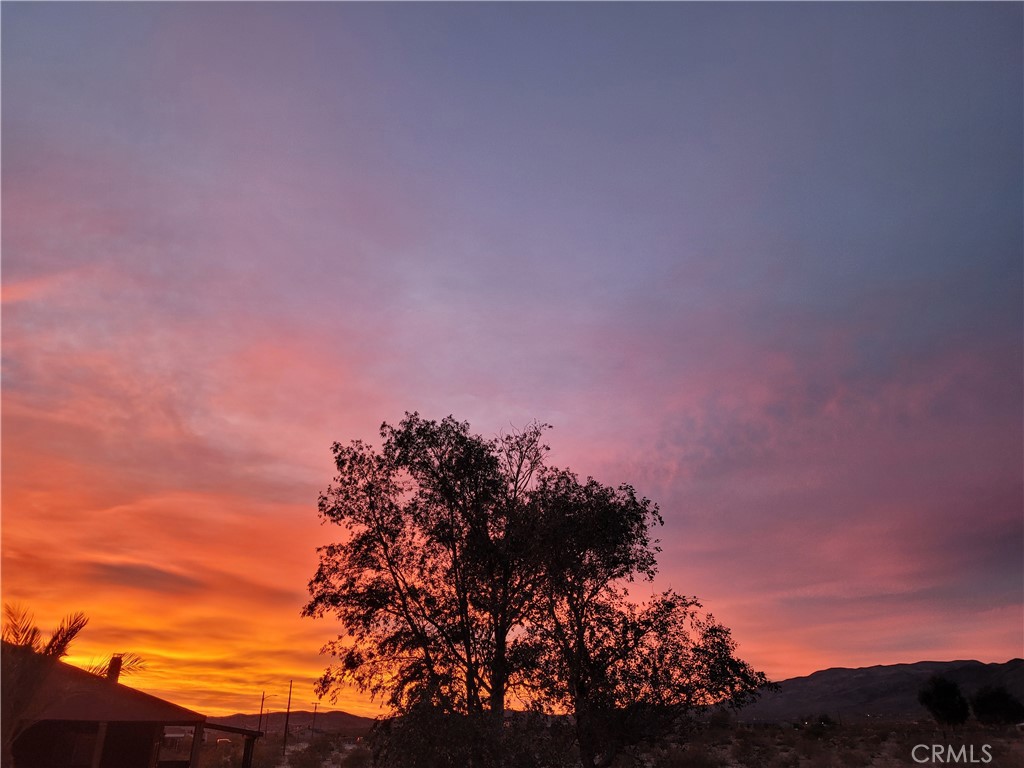 73289 Twentynine Palms Property Photo 10