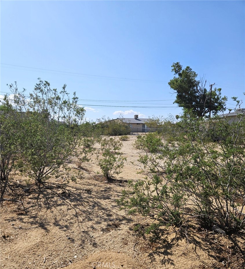 6350 Mojave Avenue Property Photo 3