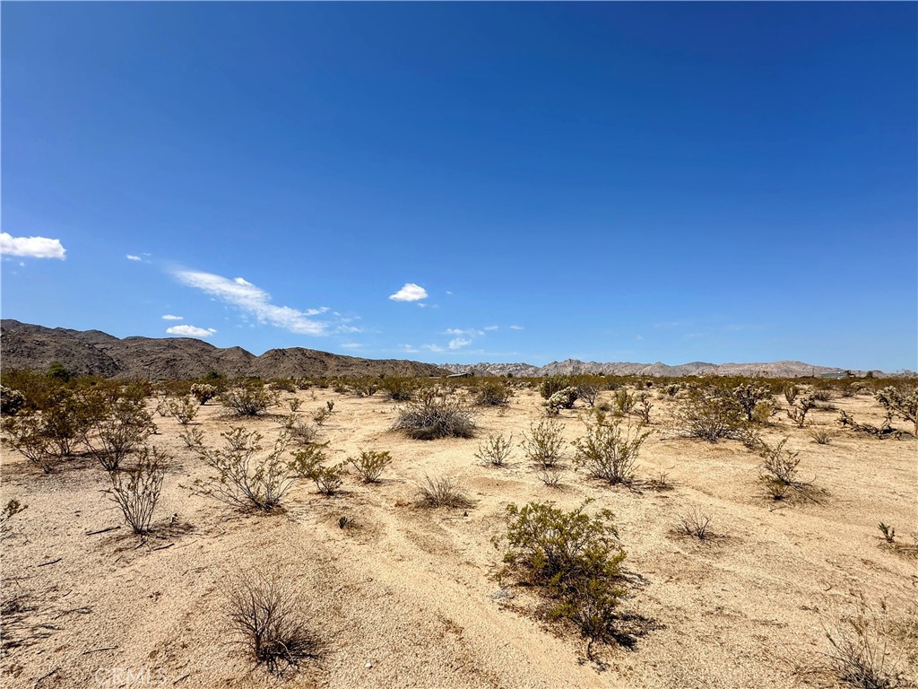 70500 29 Palms Highway Property Photo 4