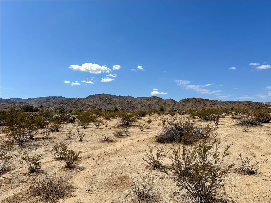 70500 29 Palms Highway Property Photo 5