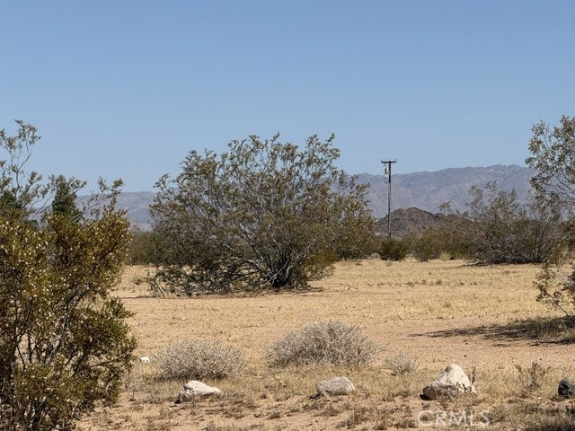 1234 Saturn Property Photo 6