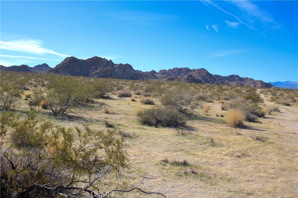 7130 Sunfair Road Property Photo 11