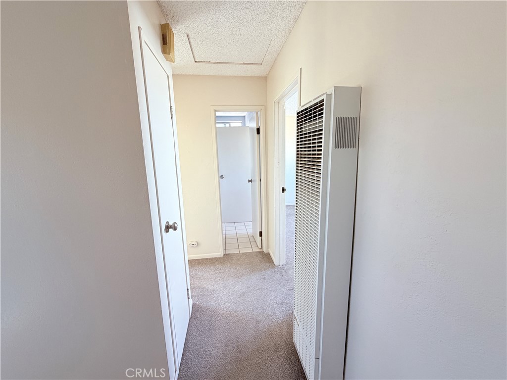 5533 Encelia Drive Property Photo 7