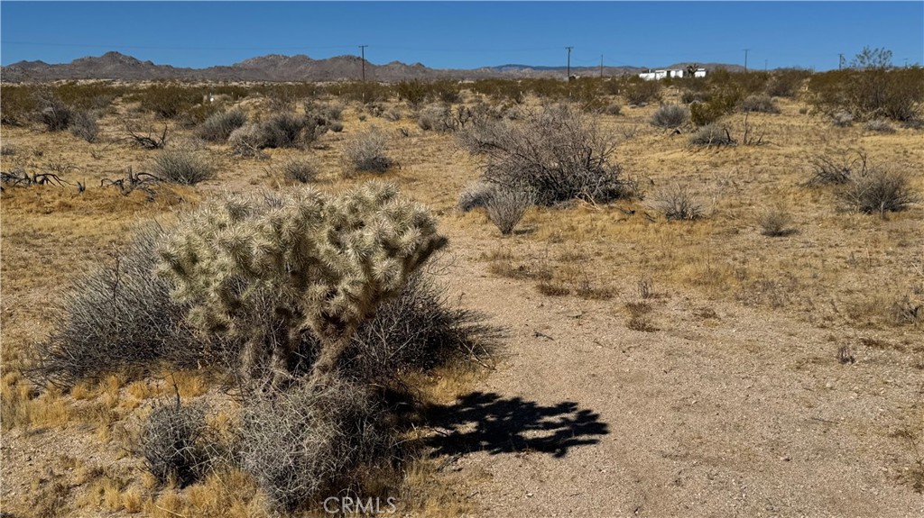 0 Bodick Road Property Photo 6