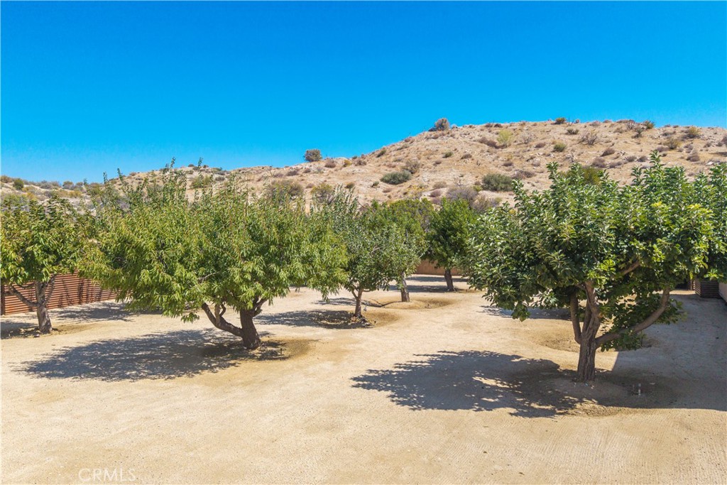 48869 Paradise Avenue Property Photo 45