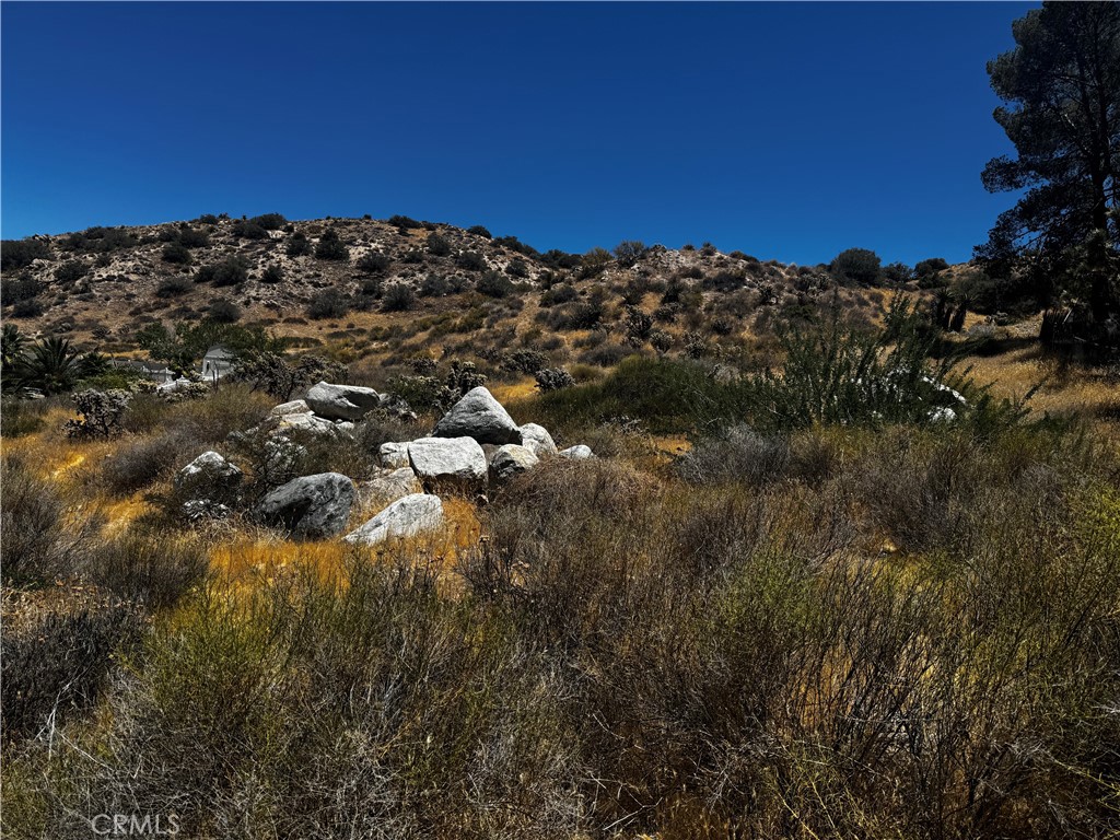 54025 Ridge Property Photo 1