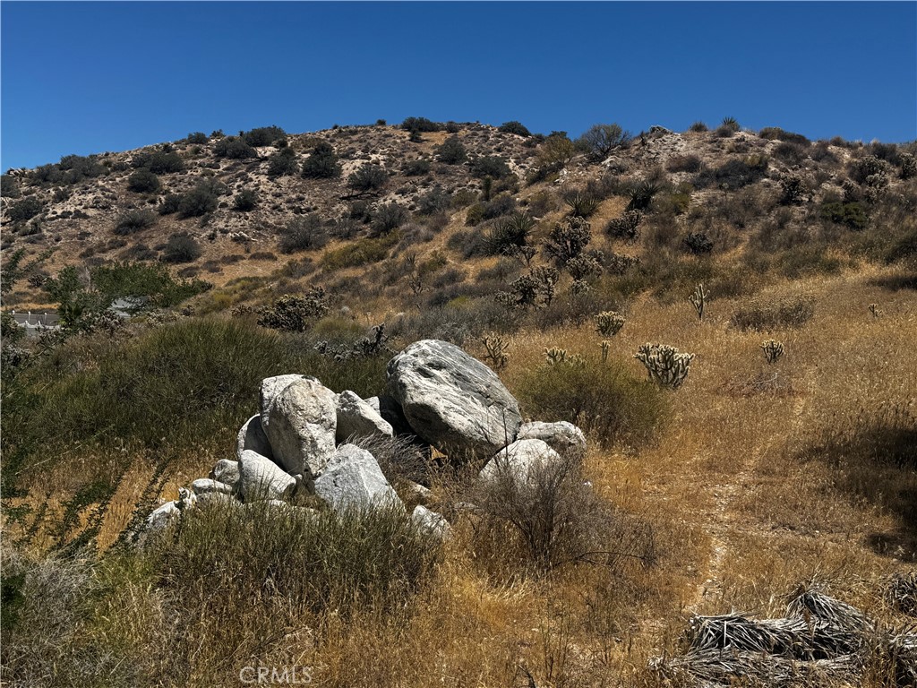 54025 Ridge Property Photo 2