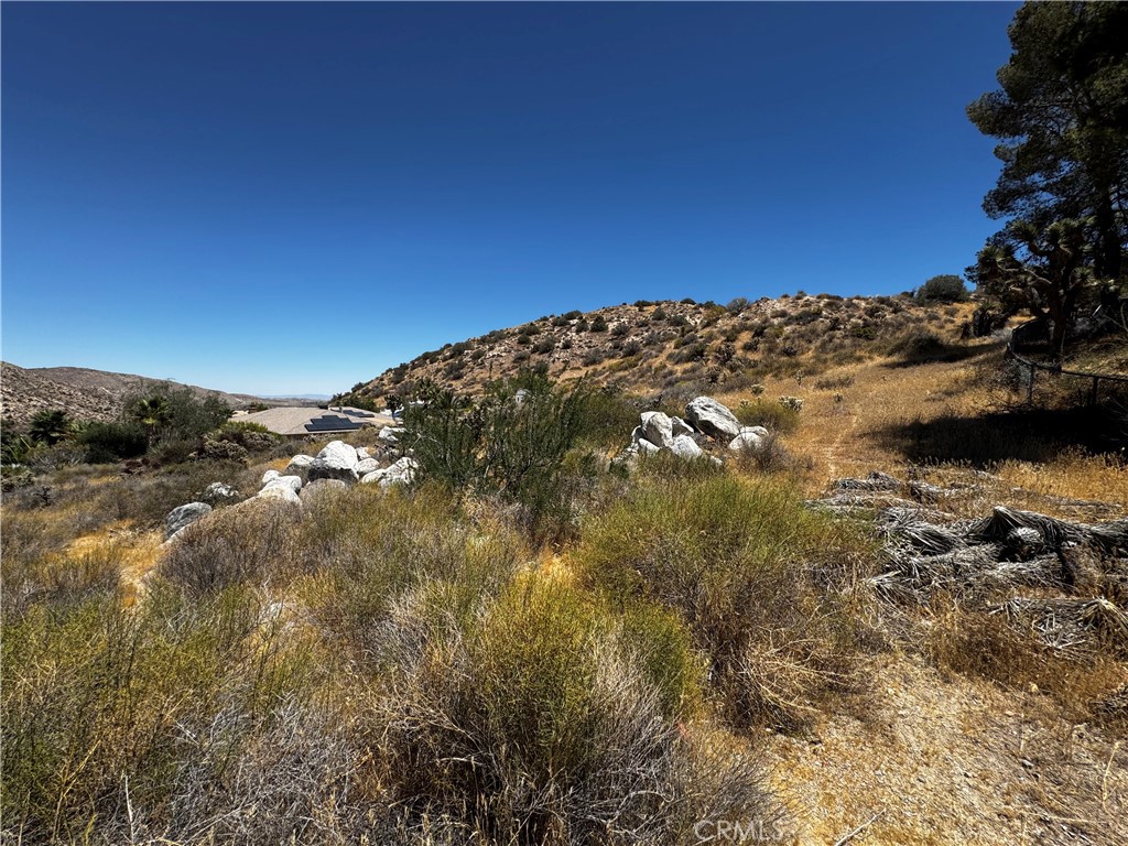 54025 Ridge Property Photo 4