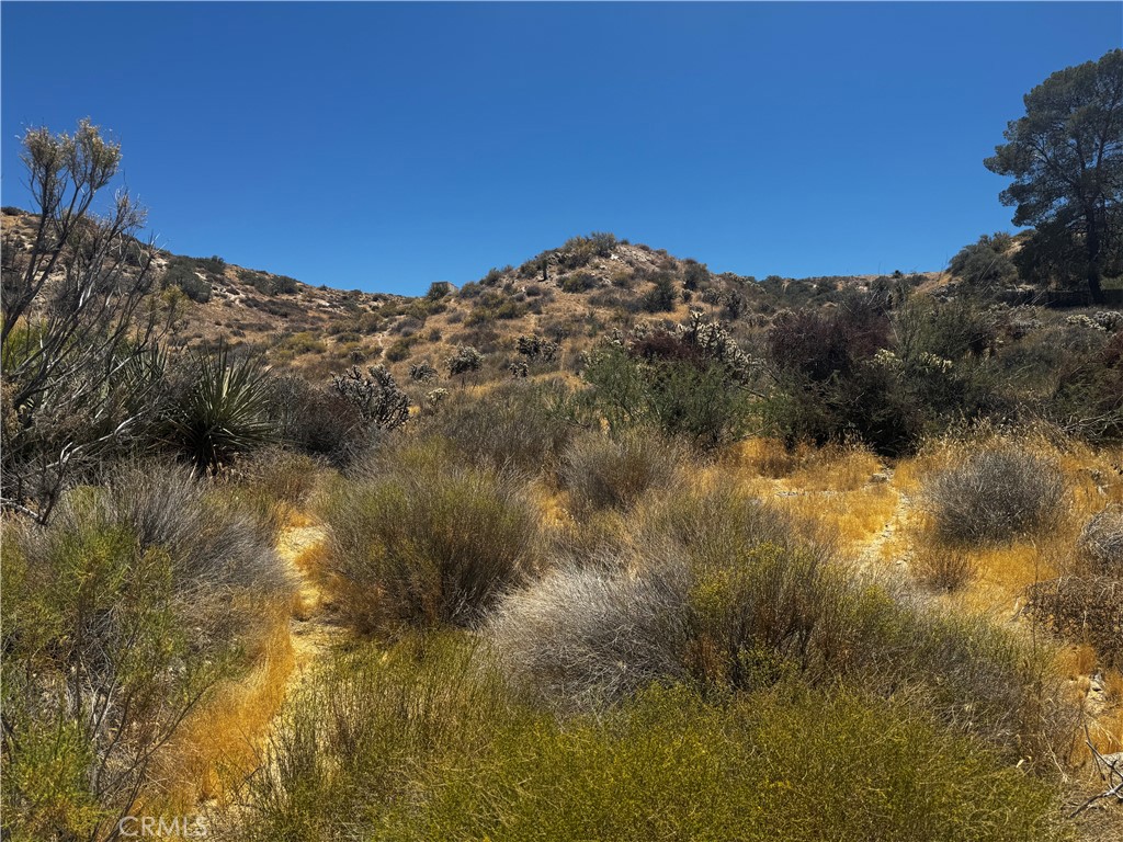 54025 Ridge Property Photo 5