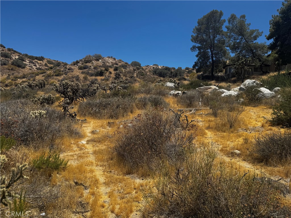 54025 Ridge Property Photo 6