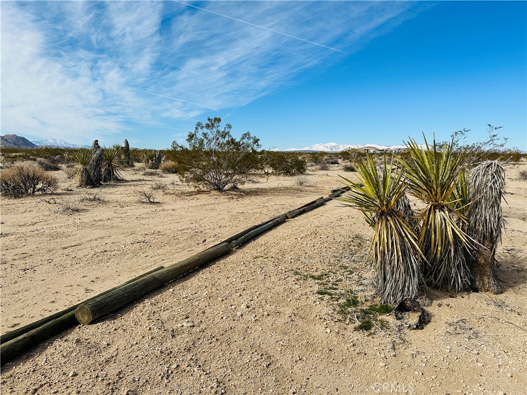 1234 Desert Lily Property Photo 1