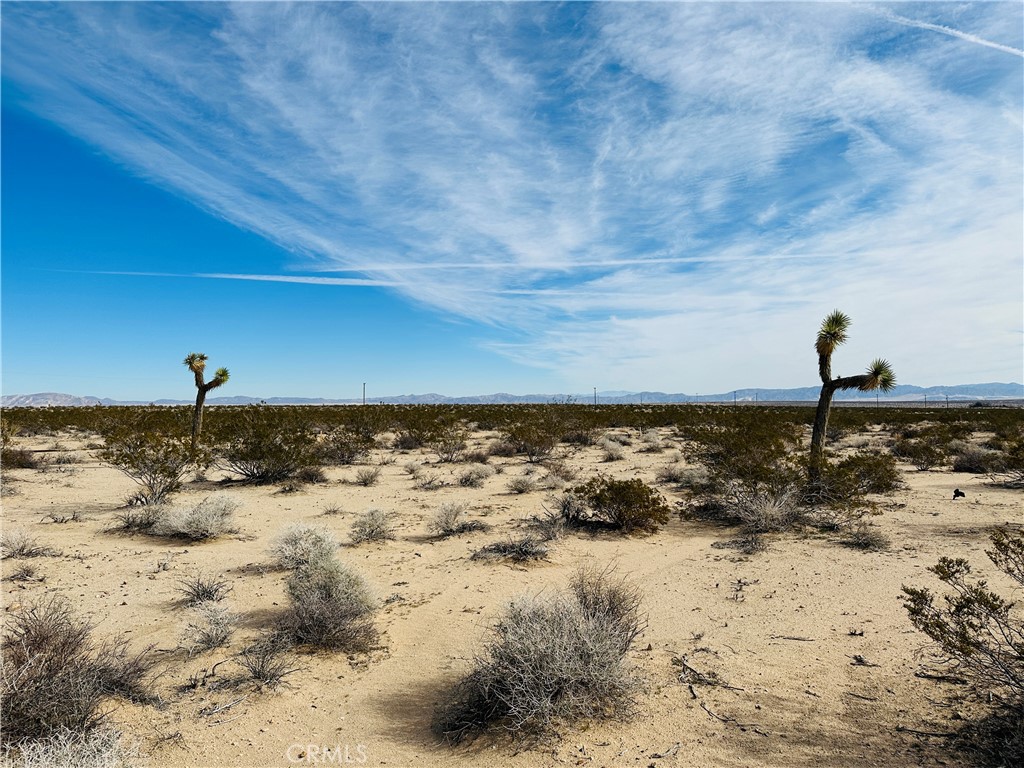 1234 Desert Lily Property Photo 2