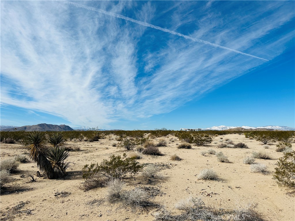 1234 Desert Lily Property Photo 3