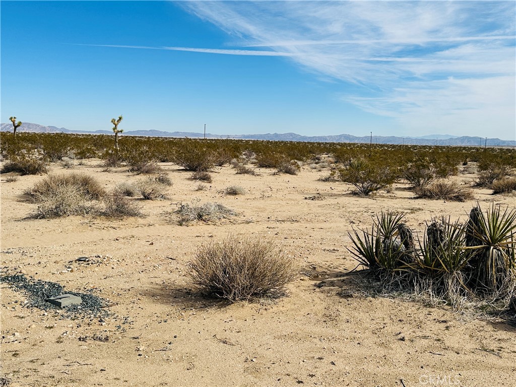 1234 Desert Lily Property Photo 9