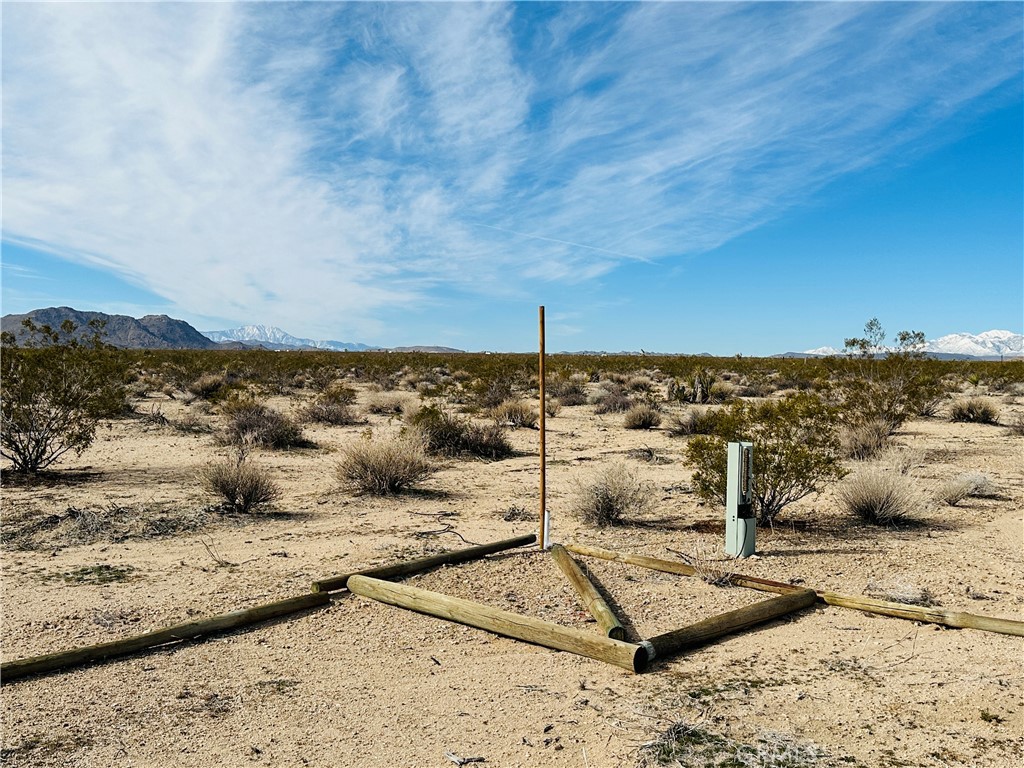 1234 Desert Lily Property Photo 10