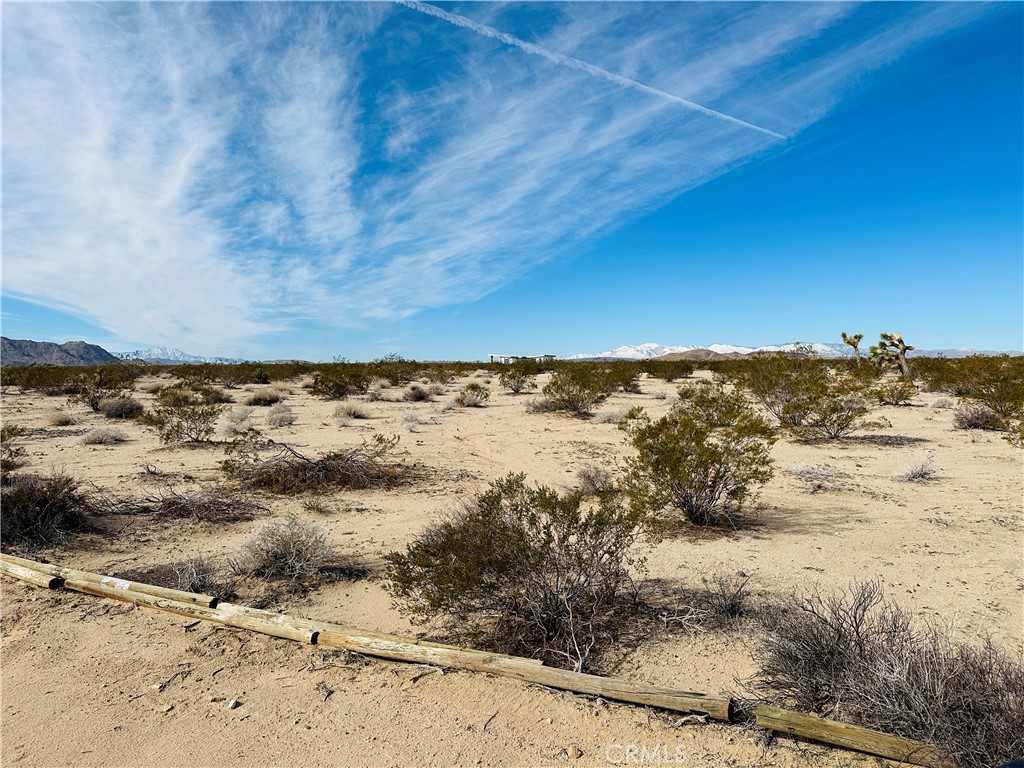 1234 Desert Lily Property Photo 11