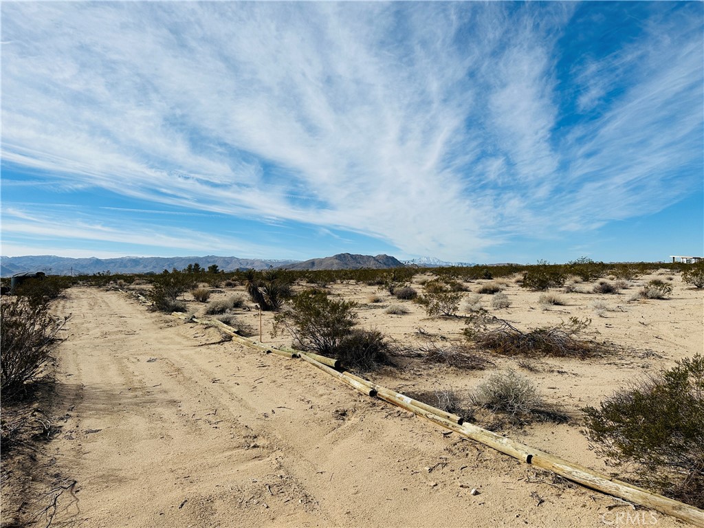 1234 Desert Lily Property Photo 12