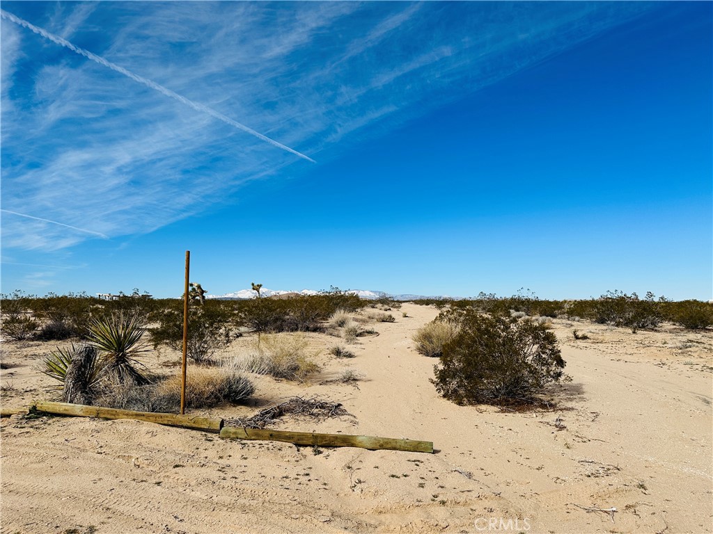 1234 Desert Lily Property Photo 13