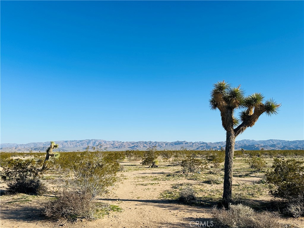 1974 Sunset Property Photo 1