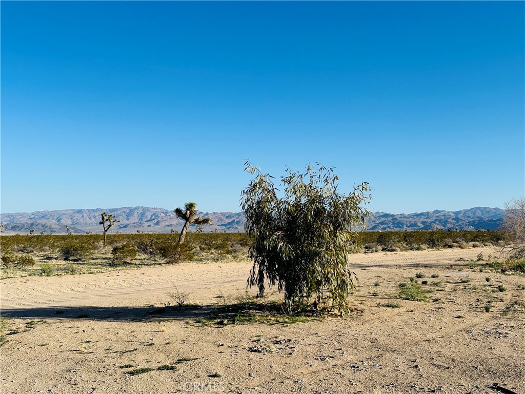 1974 Sunset Property Photo 2