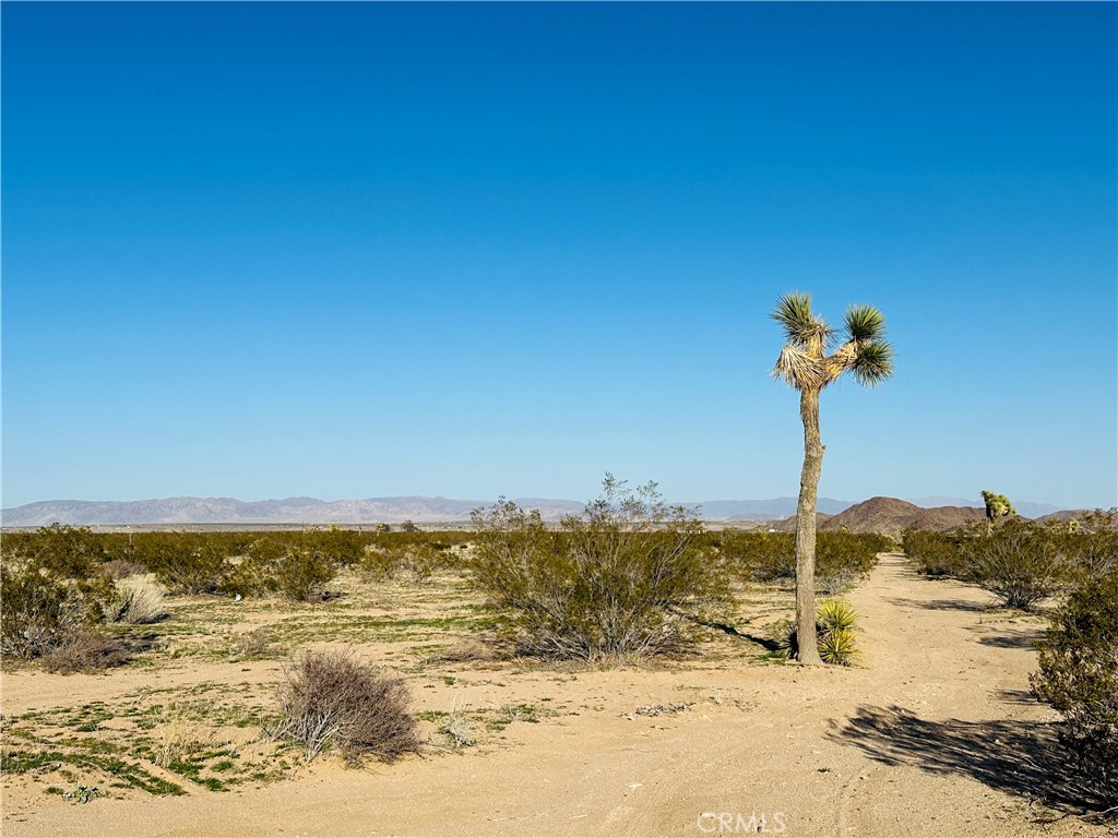 1974 Sunset Property Photo 6