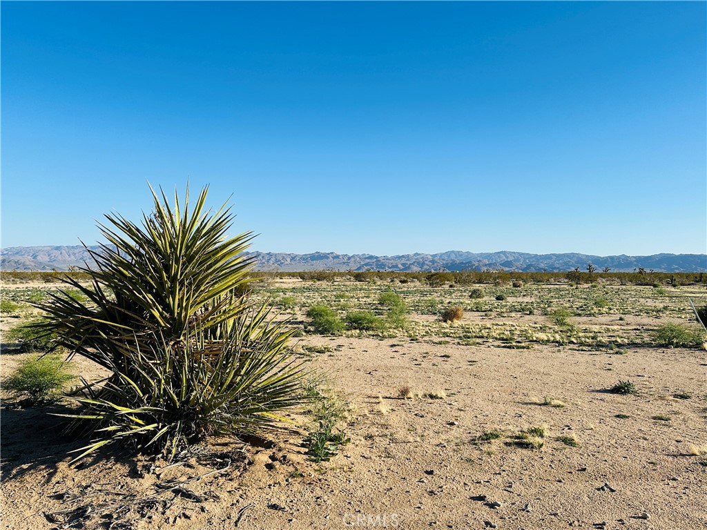 1974 Sunset Property Photo 7