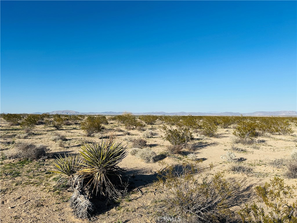 1974 Sunset Property Photo 8