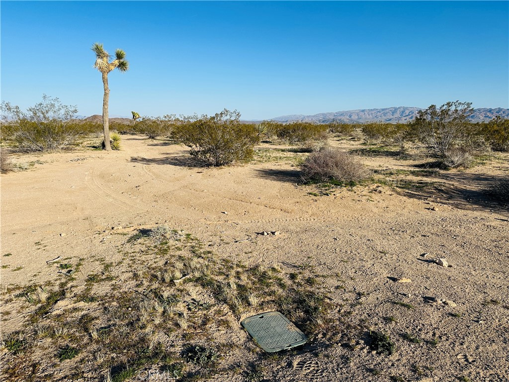 1974 Sunset Property Photo 9