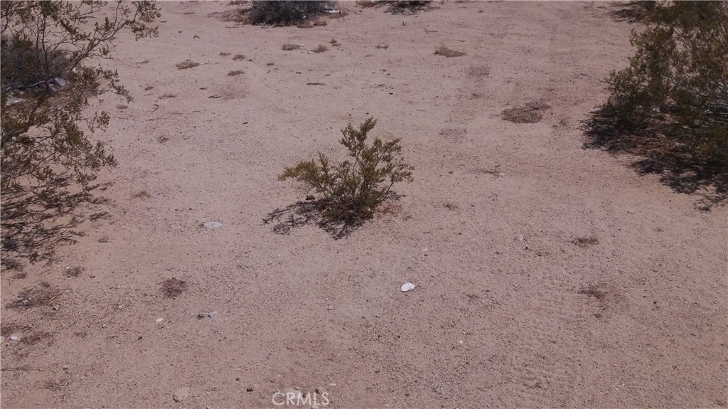 5440 Adobe Road Property Photo 1