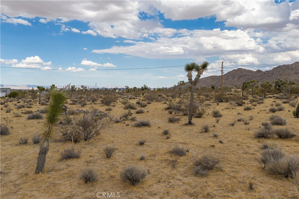 3786 Alta Avenue Property Photo 8