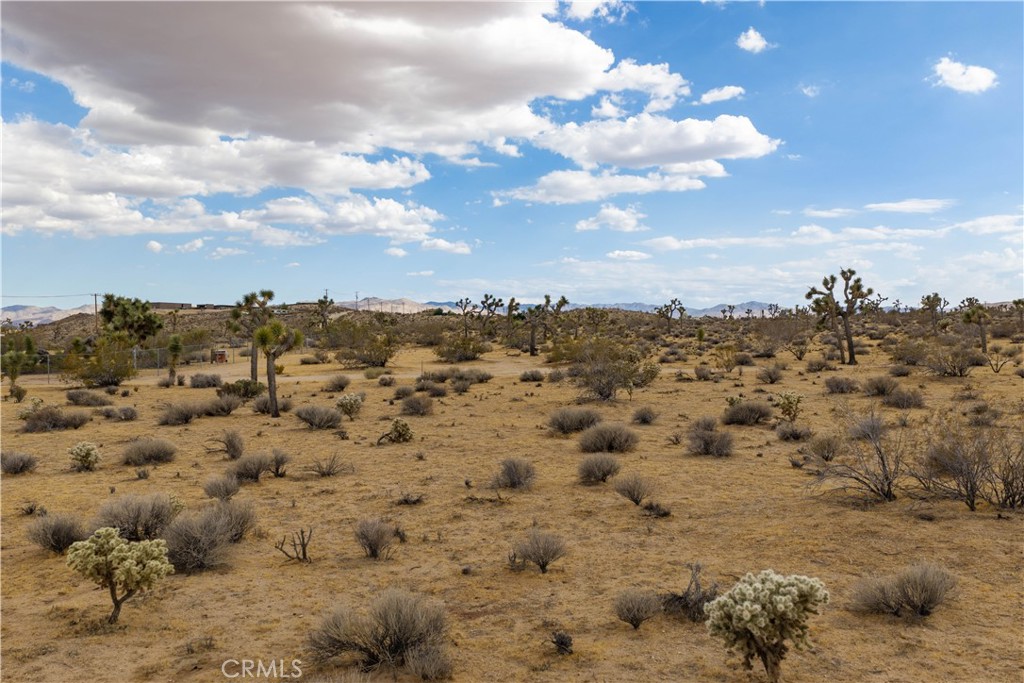 3786 Alta Avenue Property Photo 10