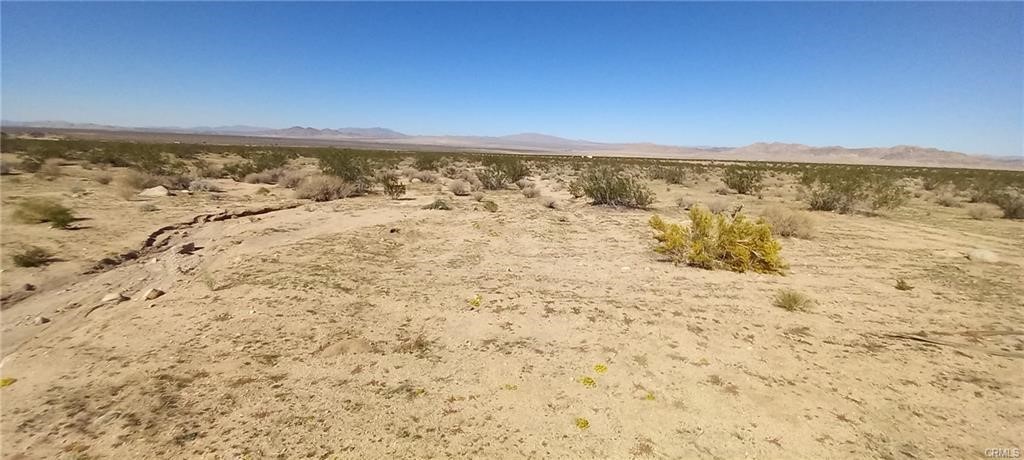 0 N Joshua Tree Road Property Photo 1