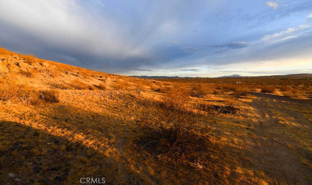 58459 Starlight Mesa Road Property Photo 3