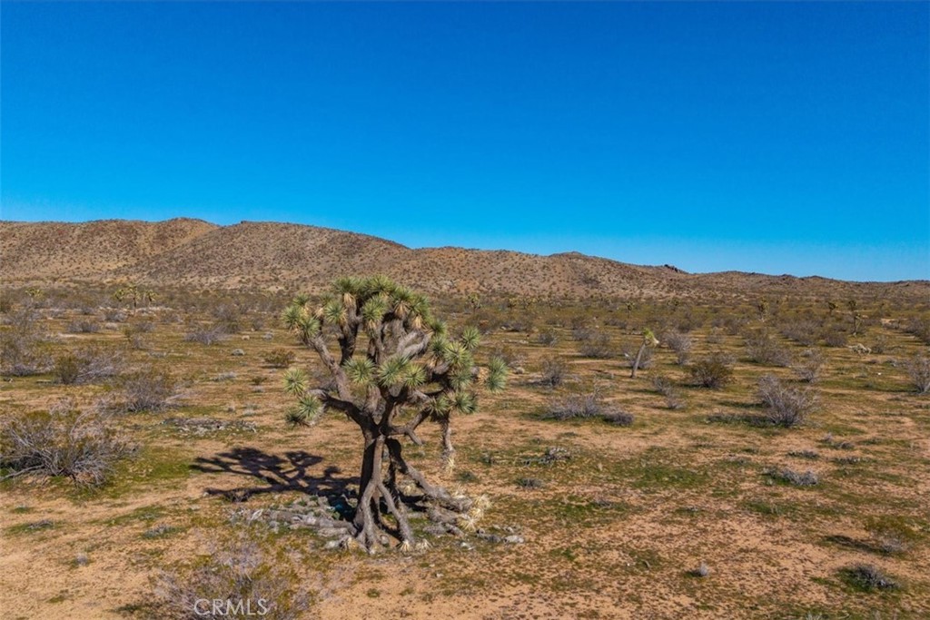 58459 Starlight Mesa Road Property Photo 18