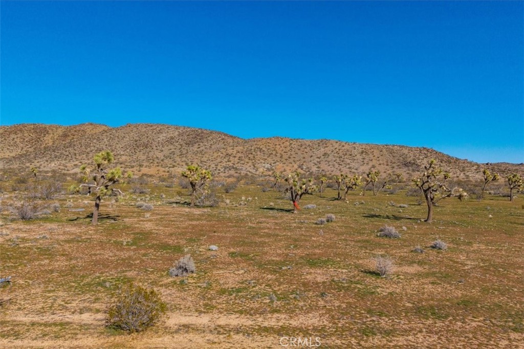 58459 Starlight Mesa Road Property Photo 21