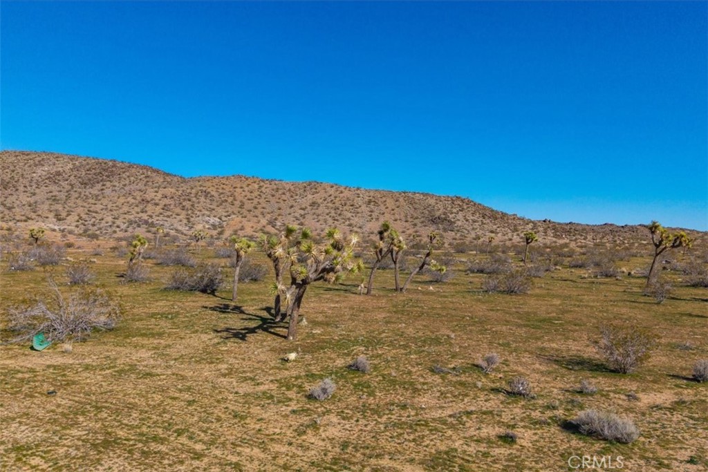 58459 Starlight Mesa Road Property Photo 22