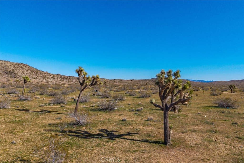 58459 Starlight Mesa Road Property Photo 23