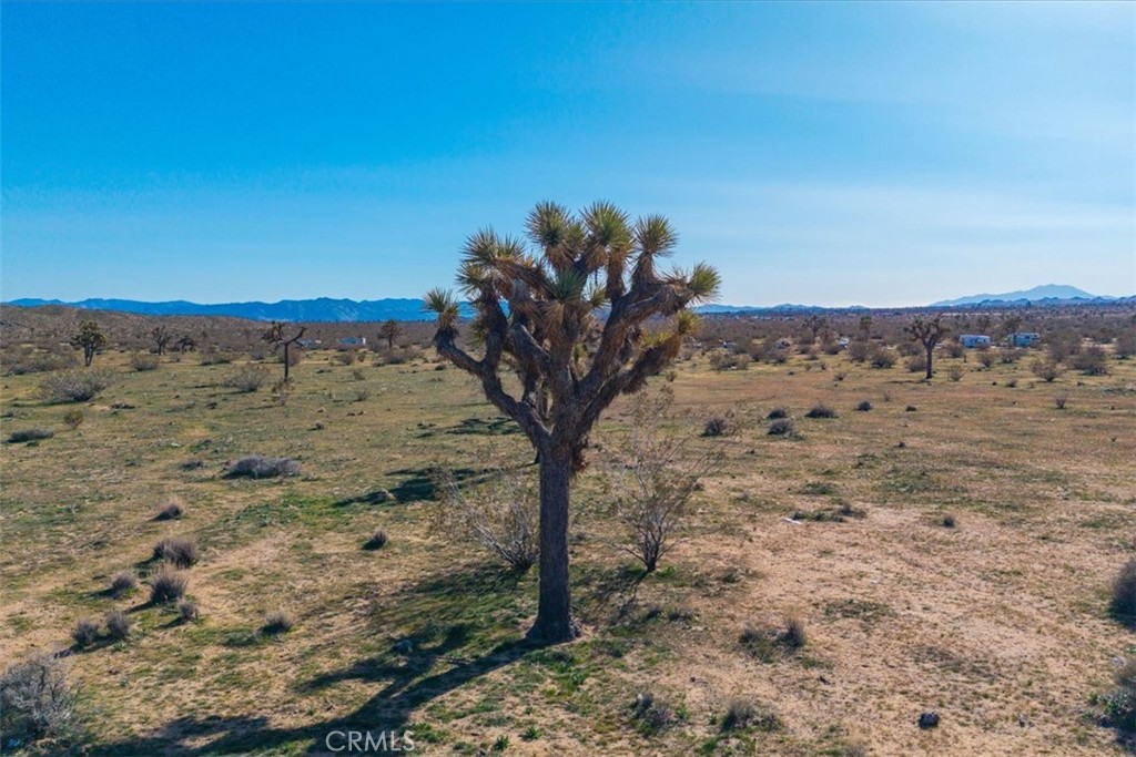 58459 Starlight Mesa Road Property Photo 26