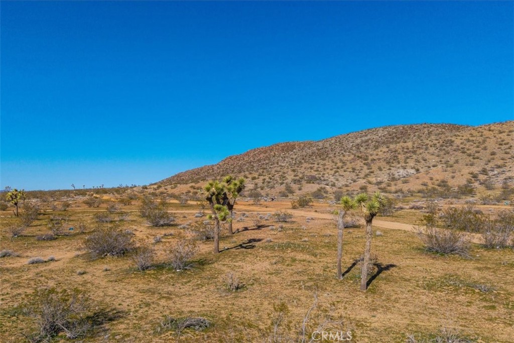 58459 Starlight Mesa Road Property Photo 28