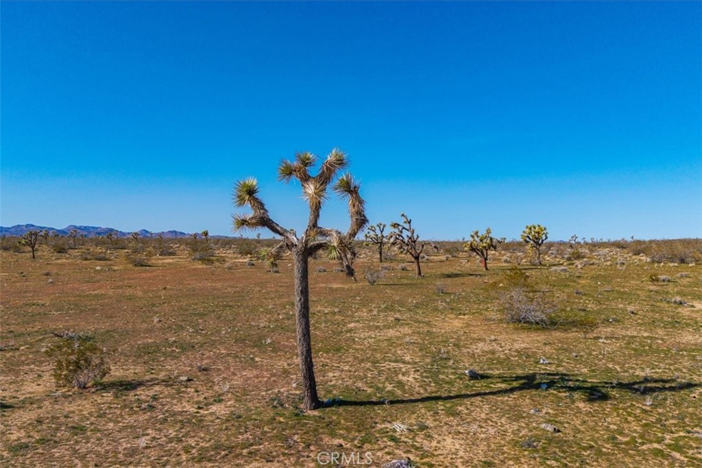 58459 Starlight Mesa Road Property Photo 51
