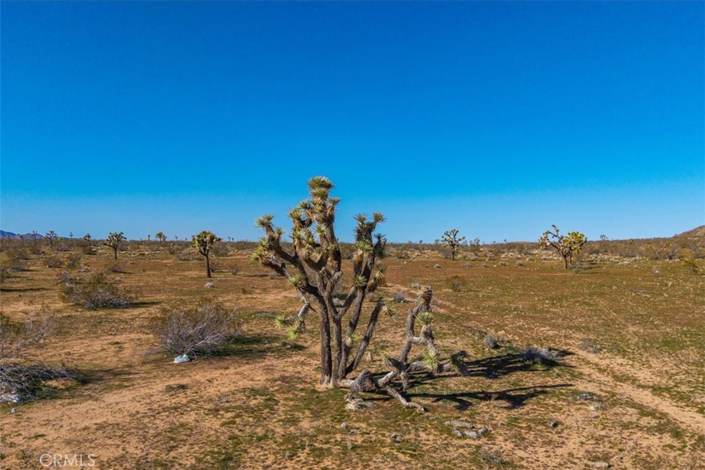58459 Starlight Mesa Road Property Photo 52