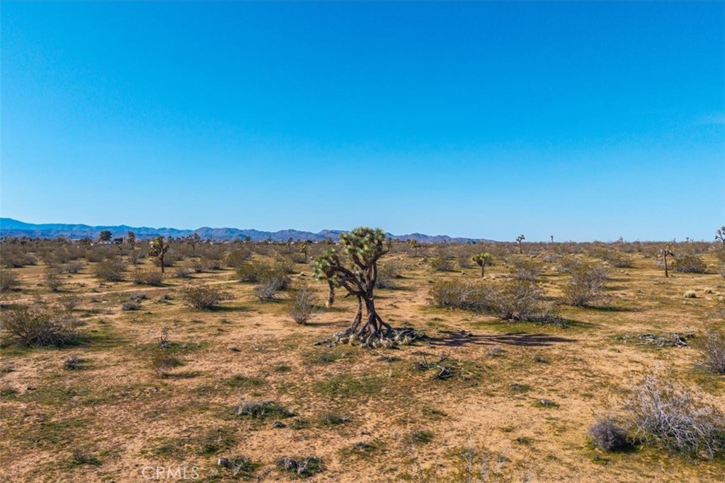 58459 Starlight Mesa Road Property Photo 53