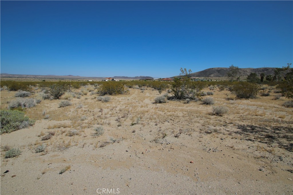 66400 29 Palms Highway Property Photo 16