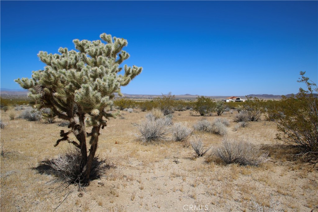 66400 29 Palms Highway Property Photo 18